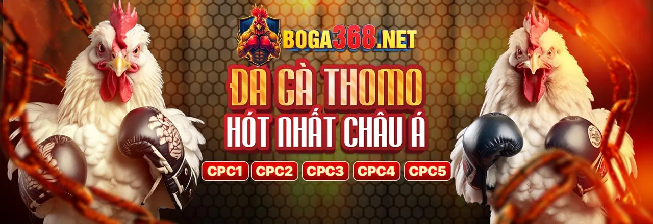 Quy trình hợp tác với NEW88